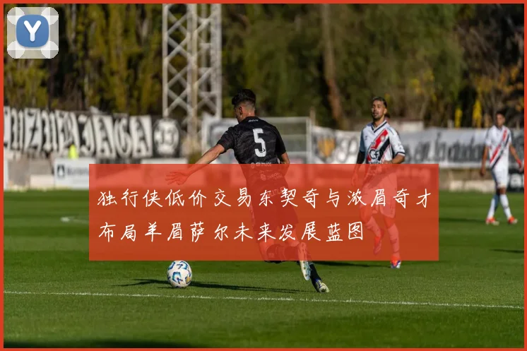 独行侠低价交易东契奇与浓眉奇才布局羊眉萨尔未来发展蓝图